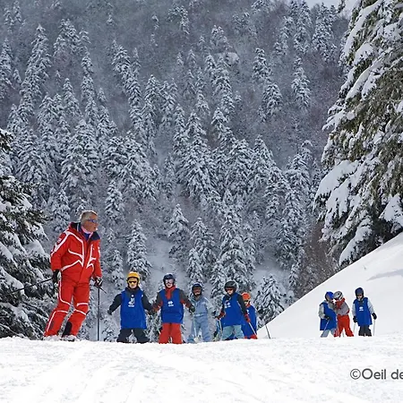 Bien Loges A Val Louron Dans Les Pyrenees Appartement